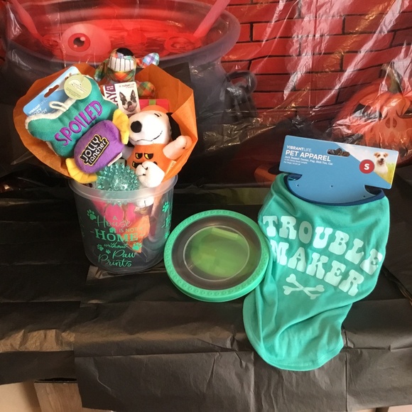 Halloween Boo Bucket for a small Dog - Picture 7 of 7